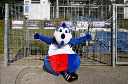Fussball