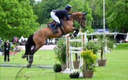 Pferdesport Reiten