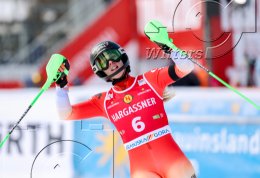 Wintersport Ski Alpin