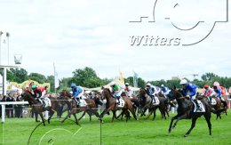 Pferdesport Reiten Galopp