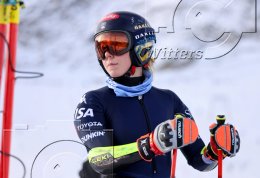 Wintersport Ski Alpin