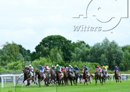 Pferdesport Reiten Galopp