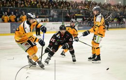 Wintersport Eishockey