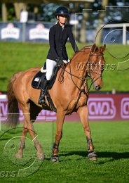 Pferdesport Reiten