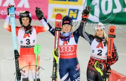 Wintersport Ski Alpin