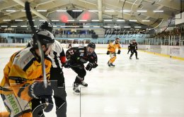 Wintersport Eishockey