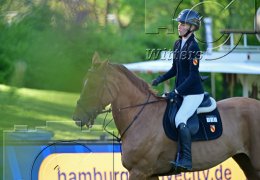 Pferdesport Reiten
