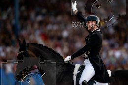 Pferdesport Reiten Springreiten