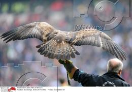 Fussball