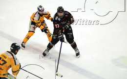 Wintersport Eishockey