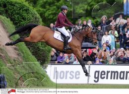 Pferdesport Reiten Springreiten