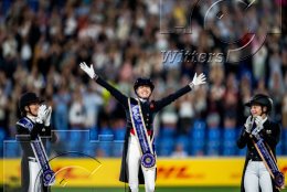 Pferdesport Reiten Springreiten
