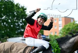 Pferdesport Reiten Galopp