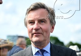 Pferdesport Reiten Galopp