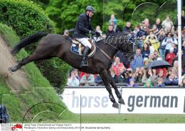 Pferdesport Reiten Springreiten