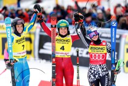 Wintersport Ski Alpin