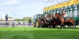             02.07.2026 | Pferdesport Galopp Derby Horn 2026