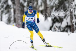 Wintersport Biathlon