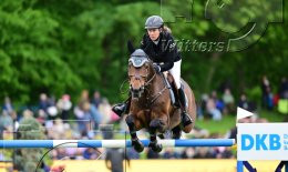 Pferdesport Reiten