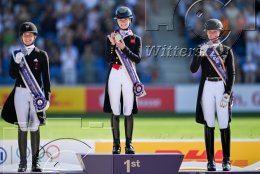 Pferdesport Reiten Springreiten