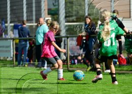                 06.09.2026 | Fussball Hamburger Fussball-Verband 1. Maedchenfussballfestival 2026