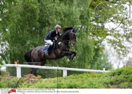 Pferdesport Reiten Springreiten