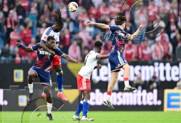 Fussball