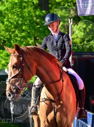 Pferdesport Reiten