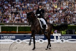 Pferdesport Reiten Springreiten
