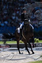 Pferdesport Reiten Springreiten