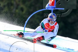                07.-08.03.2026 | Ski Alpin Weltcup Herren in Kranjska Gora / Slowenien