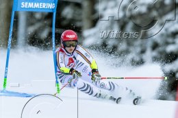 Wintersport Ski Alpin