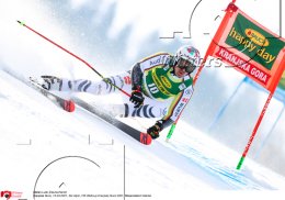 Wintersport Ski Alpin