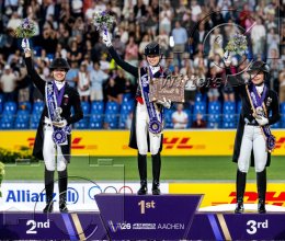 Pferdesport Reiten Springreiten