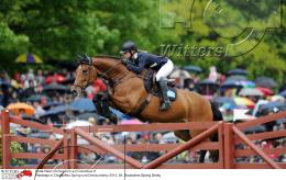 Pferdesport Reiten Springreiten