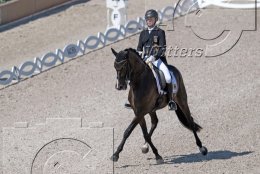 Pferdesport Reiten Springreiten