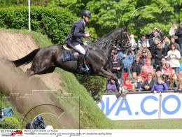 Pferdesport Reiten Springreiten