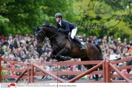 Pferdesport Reiten Springreiten