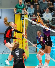 Volleyball