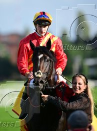 Pferdesport Reiten Galopp