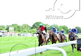 Pferdesport Reiten Galopp