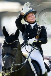 Pferdesport Reiten Springreiten