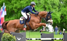 Pferdesport Reiten