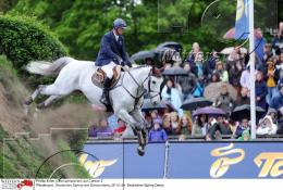 Pferdesport Reiten Springreiten