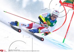 Wintersport Ski Alpin