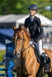Pferdesport Reiten