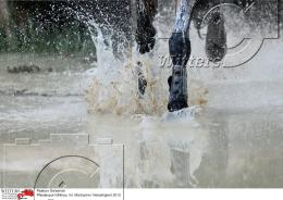 Pferdesport Reiten Military