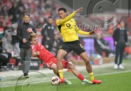 Fussball