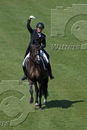 Pferdesport Reiten Springreiten