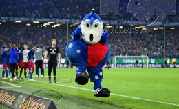 Fussball